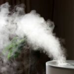 Battling Mold at Home: The Power of Humidifiers in Creating a Healthy Environment